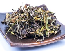Pai Mu Tan z bambusem - Herbata Biała